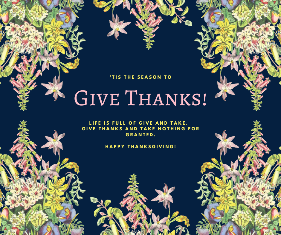beautiful flowers on a black background with "give thanks" in pink font